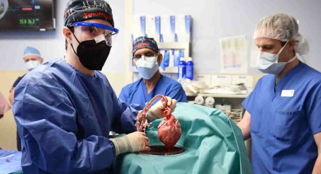Scientific breakthrough: Man gets genetically altered pig’s heart during surgery